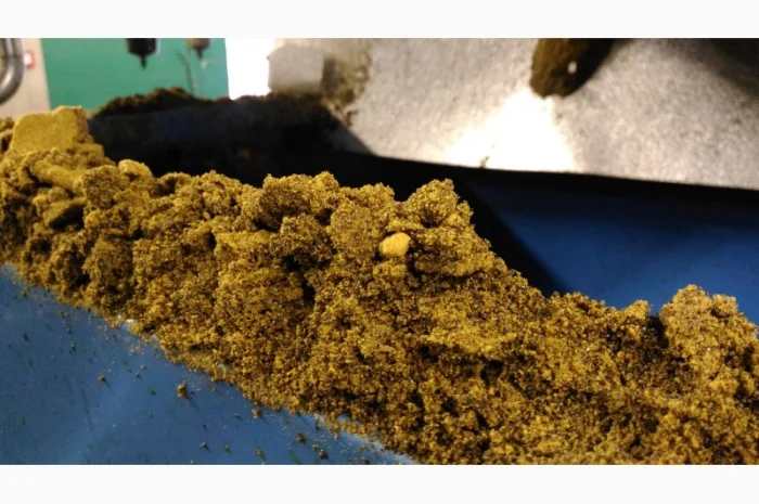 Маслоцех, маслозавод (Прессцех) 8 тонн час, рапс (192 тонны в сутки)- фото № 3