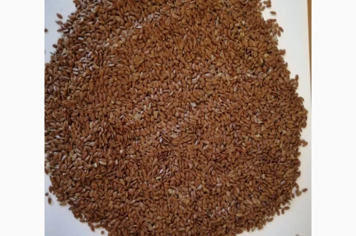 Продается семена коричневого льна сорт "Версаль"- фото № 1