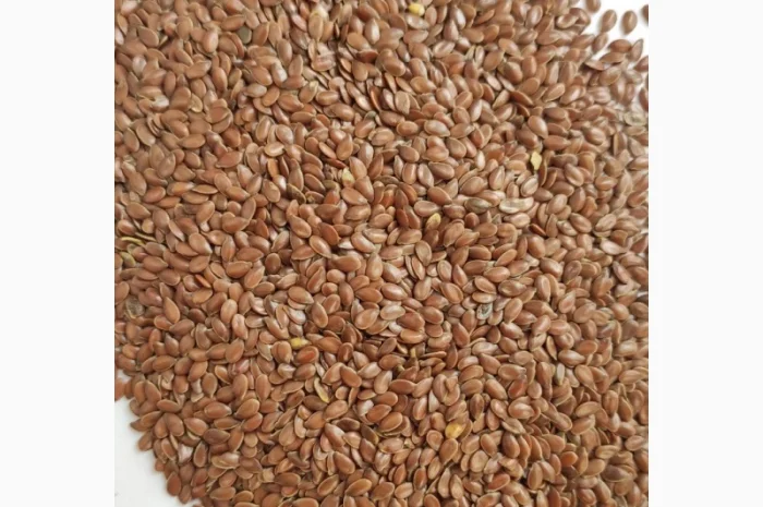 Насіння льону Бінго, сорт Lembke (Германия)- фото № 1