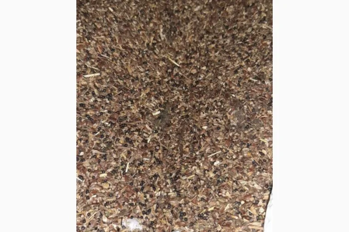 Отходы льна коричневого золотого в наличии- фото № 3