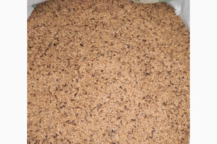 Отходы льна коричневого золотого в наличии- фото № 7