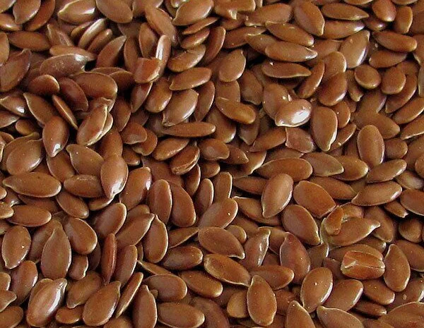 Куплю лен масляничный 20 тонн для производства- фото № 1