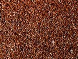 Покупаем коричневое льняное семя с чистотой 97%- фото № 1