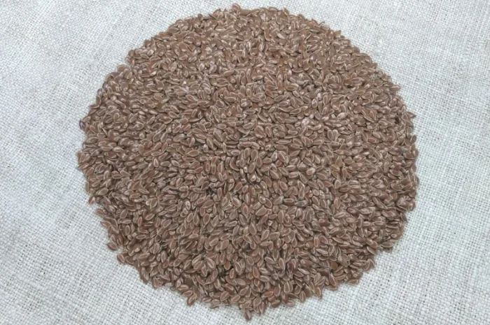 Насіння льону олійного Північна Зірка у продажу- фото № 1