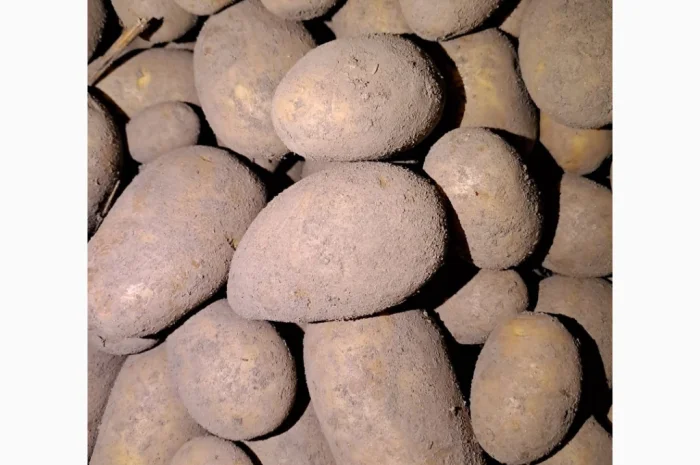 Покупаю коричневый лен в биг-бегах- фото № 2