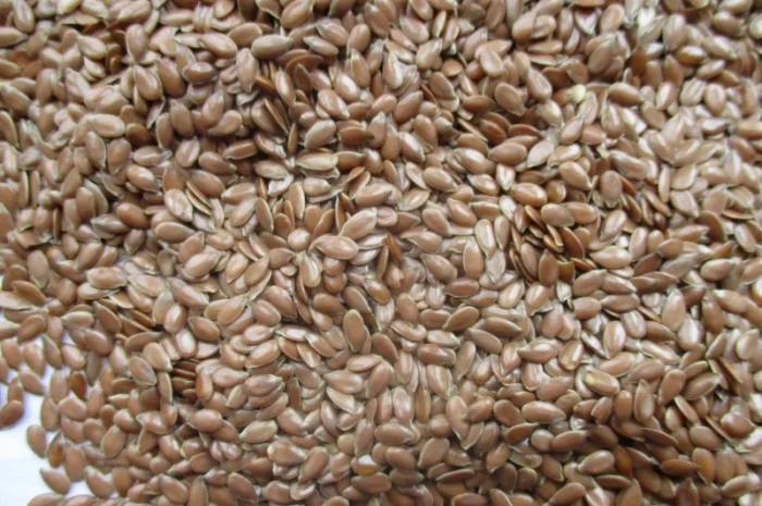 Продаж посівного матеріалу льону олійного- фото № 2