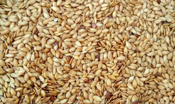 Продаж насіння льону сорту Золотистий- фото № 1