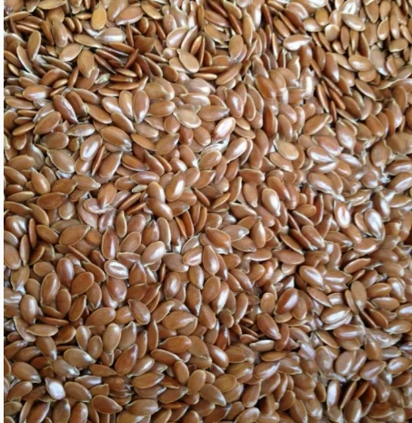 Насіння льону на продаж- фото № 1