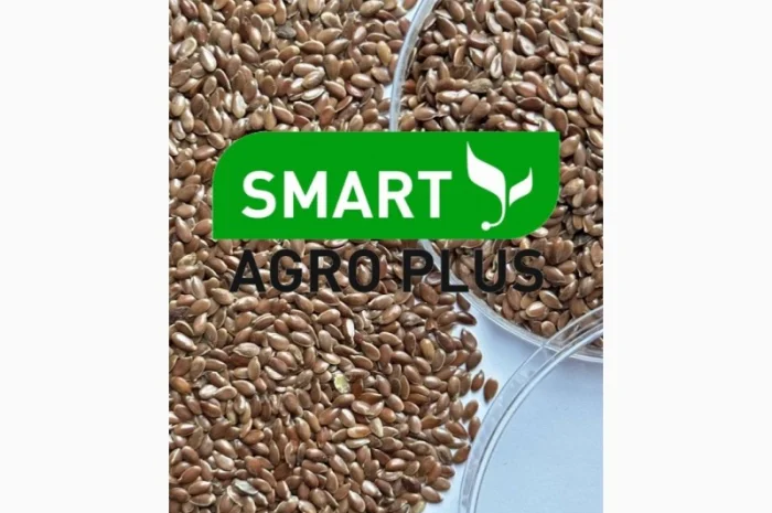 Насіння льону на продаж- фото № 2