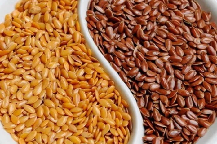 Лен масличный- фото № 1