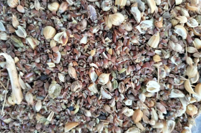 Продам відходи льону 2620 кг- фото № 2