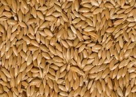 Закупаем лён по высокой цене- фото № 1