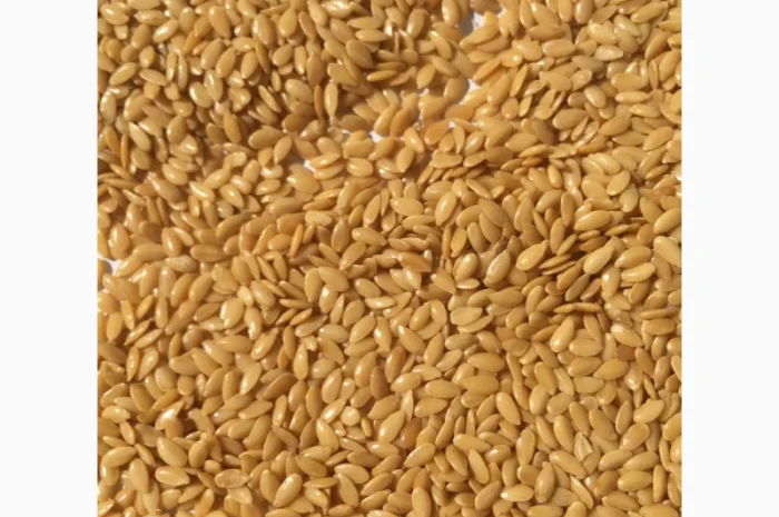 Лён золотой (белый, золотистый) 2024- фото № 1