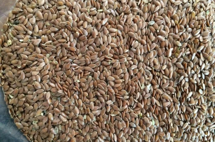 Лен масличный коричневый- фото № 1