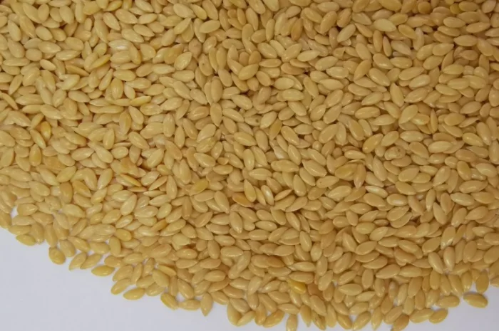 Куплю лен золотистый и коричневый- фото № 1