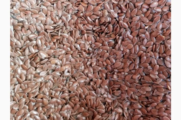 Купуємо льон дорого- фото № 2