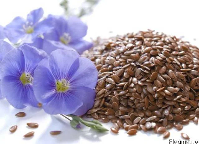 Семена льна "Версаль", "Южная ночь", "Золотистый"- фото № 1