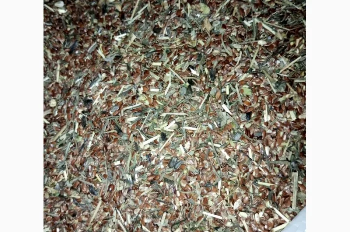 Продам льон технічний- фото № 3