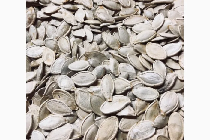 Куплю тыквенные семечки- фото № 1