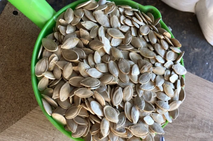 Куплю тыквенные семечки- фото № 2