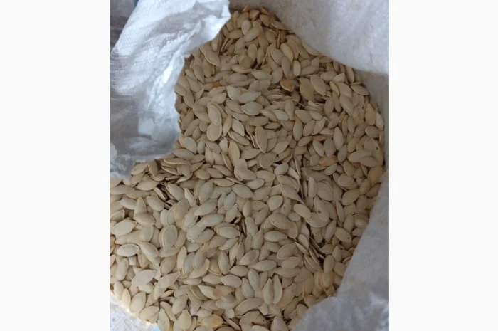 Куплю тыквенные семечки от 100 кг- фото № 1