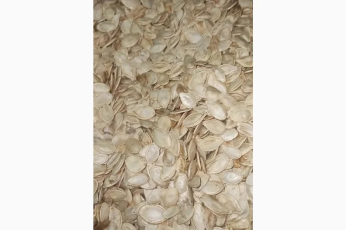 Купим семечку тыквы всех сортов- фото № 1