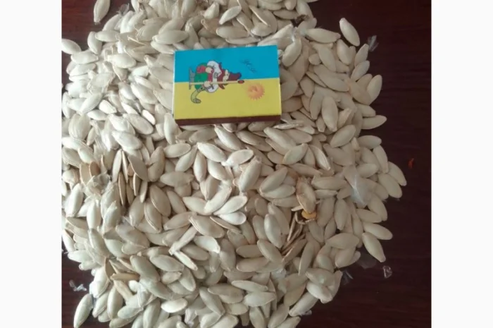 Продается семя тыквы оптом- фото № 3