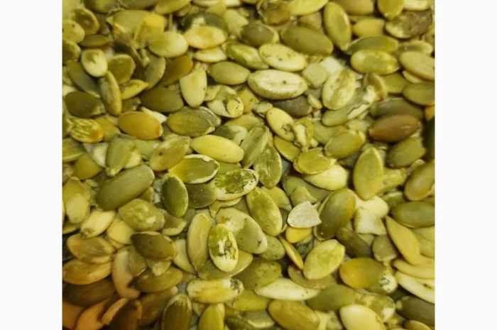 Ядро семечки семена Тыквы Кабака- фото № 1