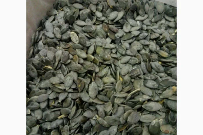 Куплю насіння голонасінного гарбуза- фото № 1