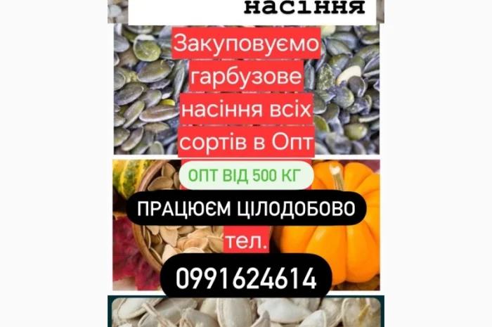 Куплю насіння гарбуза- фото № 1