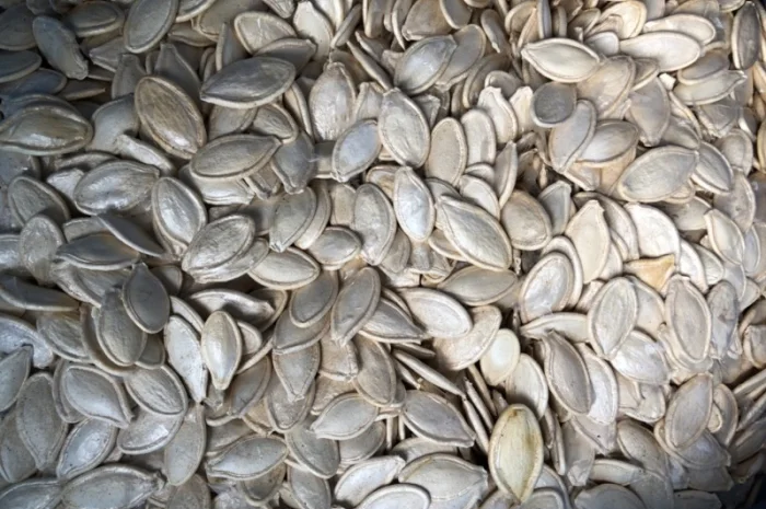 Продам гарбузове насіння- фото № 1