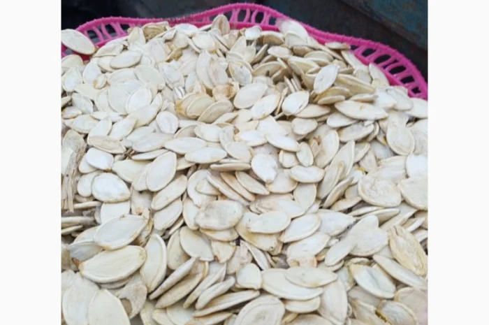 Куплю семечку тыквы- фото № 1