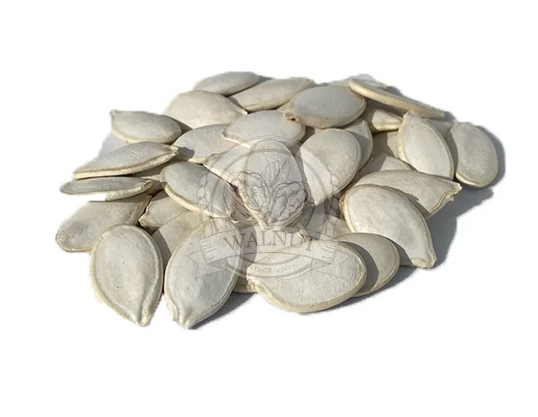 Закупаємо по всій Україні, насіння гарбузове різних сортів- фото № 1