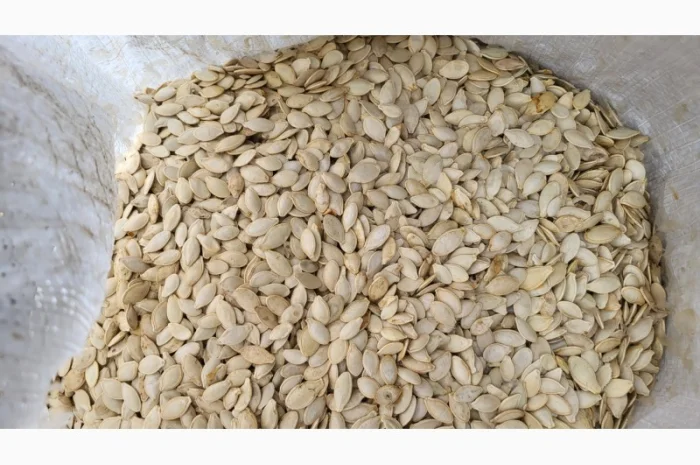 Куплю гарбузових насіння- фото № 1