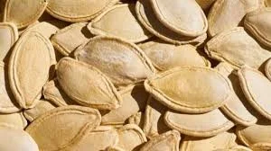 Гарбузове насіння- фото № 2