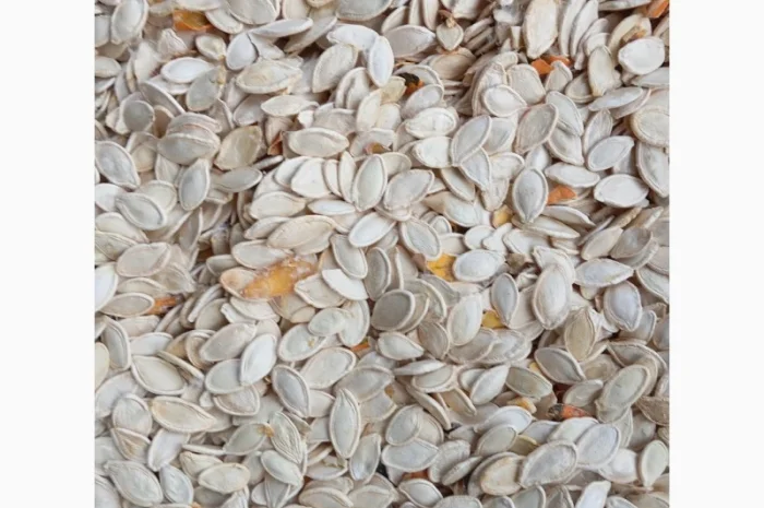 Продам гарбузове насіння 60 тон Українська багатоплідна- фото № 2