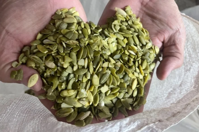 Продам чищенную кабаковую семечку на масло- фото № 1