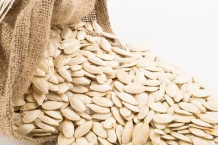 Купую на постійній основі насіння гарбузове- фото № 2