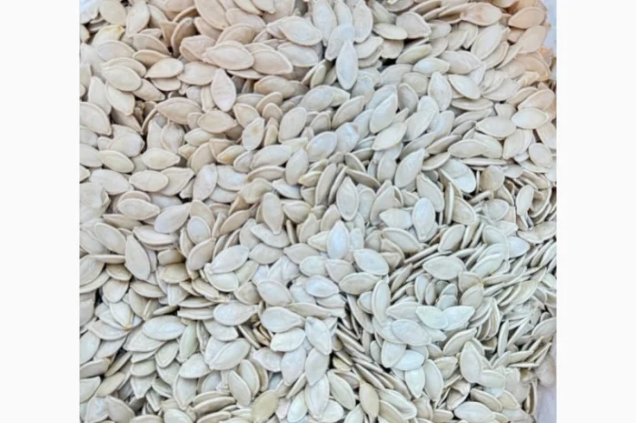 Куплю насіння гарбуза- фото № 1