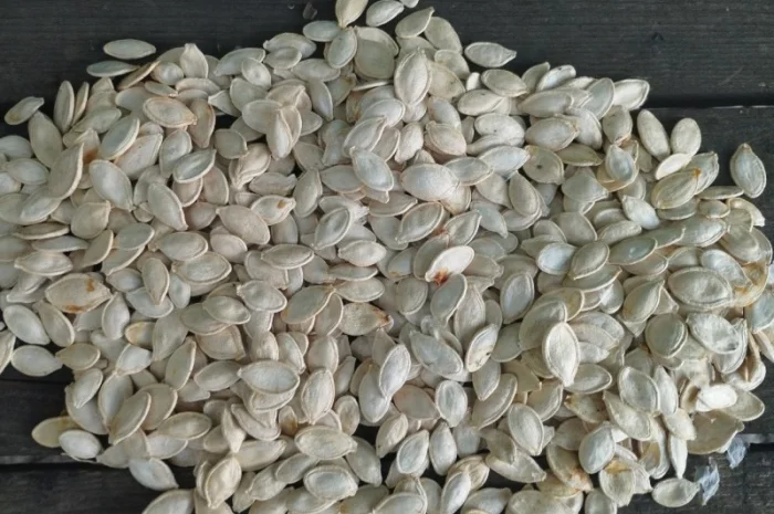 Куплю гарбузове насіння в шкоролупі- фото № 1