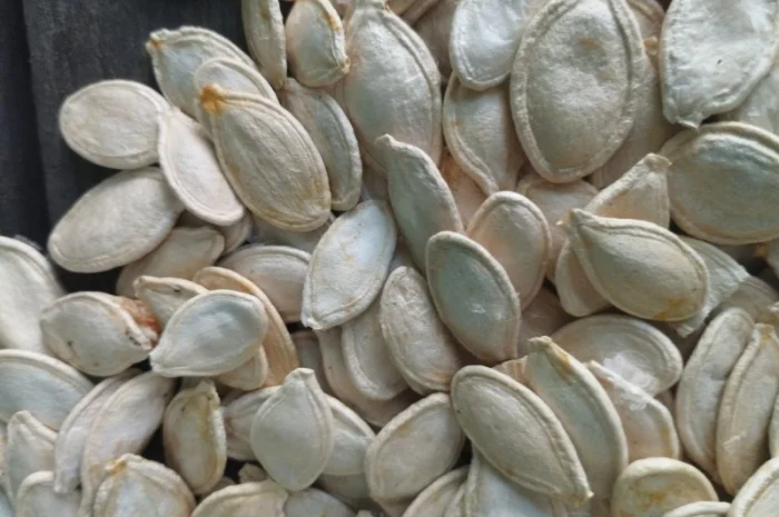 Куплю гарбузове насіння в шкоролупі- фото № 2