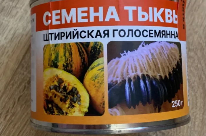 Продам семена тыквы голосемянной Штирийской- фото № 1