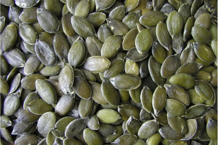 Продам насіння гарбуза голонасінного «Штирийського»- фото № 2