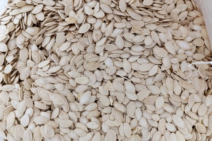 Продам гарбузове насіння, об'єм 10 тонн, вирощене власноруч, українка багатоплідна- фото № 2