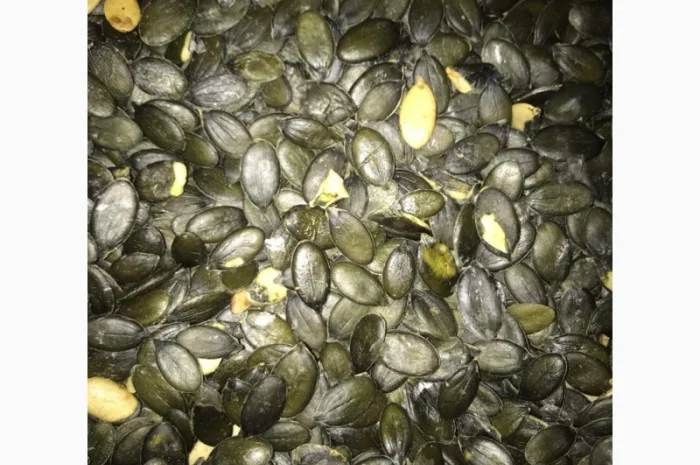 Продам семочку голосеменную- фото № 1