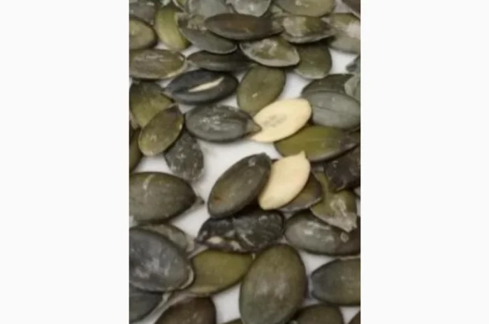 ЗАКУПАЕМ по Украине голсемяннуя семечку тыквы- фото № 1