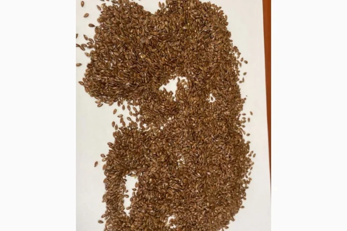 Переробка - Кропивницький - купуємо насіння та олії- фото № 1