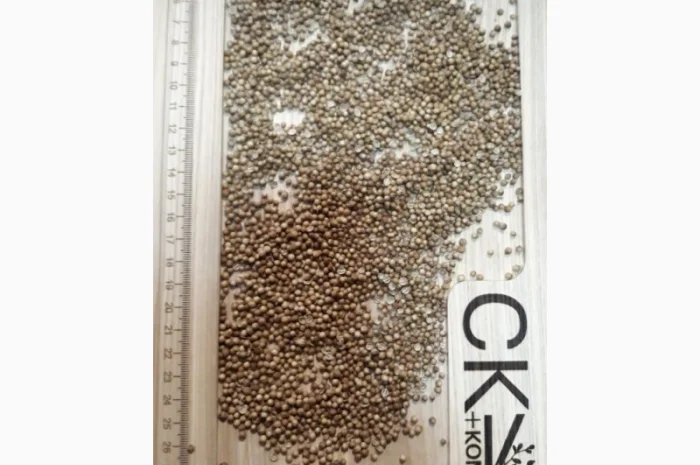 Переробка - Кропивницький - купуємо насіння та олії- фото № 3