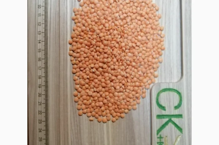 Переробка - Кропивницький - купуємо насіння та олії- фото № 5