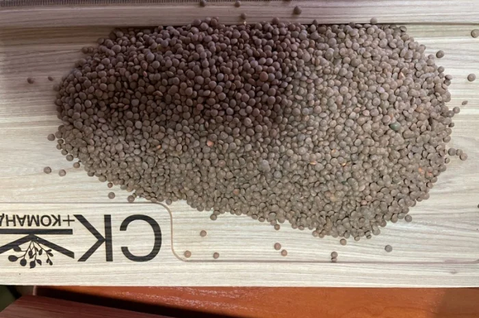 Продається льон коричневий та золотий база- фото № 10